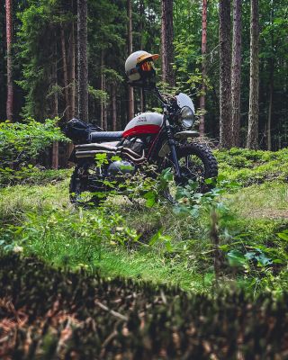 🌲🏍️🌲 #twowheelsnotears #interceptor650 #royalenfield #royalenfieldtwins650 #royalenfield650 #royalenfieldmotorcycles...